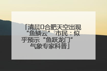 清晨﻿合肥天空出现“鱼鳞云” 市民：似乎预示“鱼跃龙门” 气象专家科普