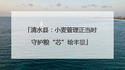 清水县：小麦管理正当时 守护粮“芯”绘丰景