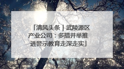 清风头条｜武陵源区产业公司：多措并举推进警示教育走深走实