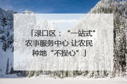 渌口区：“一站式”农事服务中心 让农民种地“不操心”