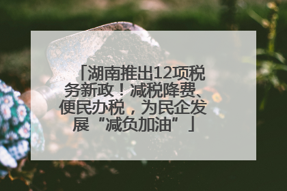 湖南推出12项税务新政！减税降费、便民办税，为民企发展“减负加油”