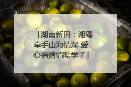 湖南新田：湘粤牵手山海情深 爱心捐赠情暖学子