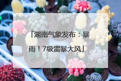 湖南气象发布：暴雨！7级雷暴大风