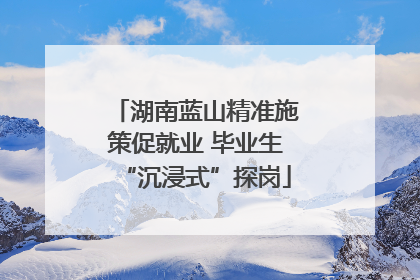 湖南蓝山精准施策促就业 毕业生“沉浸式”探岗