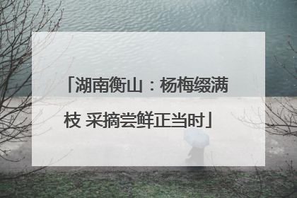 湖南衡山：杨梅缀满枝 采摘尝鲜正当时