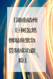 湖南靖州：巨树轰然倒塌前紧急管制成功避险