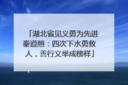 湖北省见义勇为先进秦遵照：四次下水勇救人，善行义举成榜样