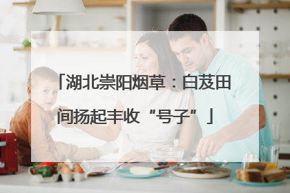 湖北崇阳烟草：白芨田间扬起丰收“号子”