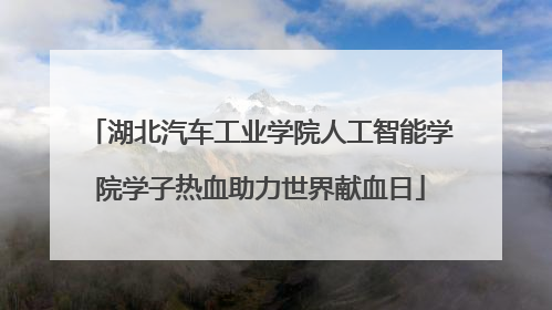 湖北汽车工业学院人工智能学院学子热血助力世界献血日