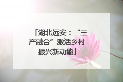 湖北远安：“三产融合”激活乡村振兴新动能