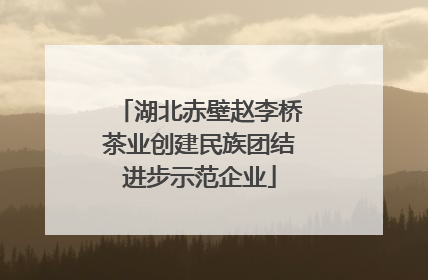 湖北赤壁赵李桥茶业创建民族团结进步示范企业