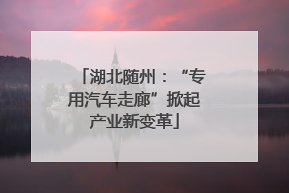湖北随州：“专用汽车走廊”掀起产业新变革