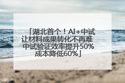 湖北首个！AI+中试让材料成果转化不再难 中试验证效率提升50%成本降低60%