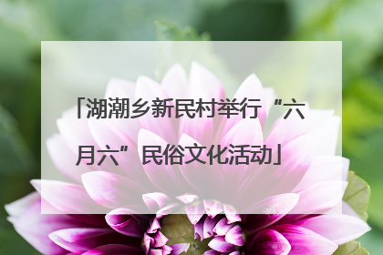 湖潮乡新民村举行“六月六”民俗文化活动