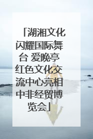 湖湘文化闪耀国际舞台 爱晚亭红色文化交流中心亮相中非经贸博览会