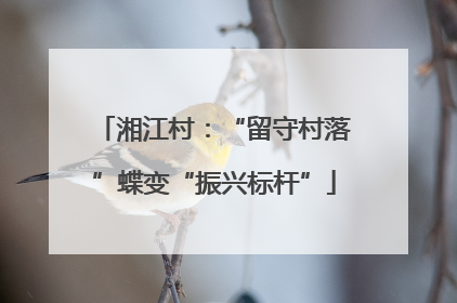 湘江村：“留守村落”蝶变“振兴标杆”