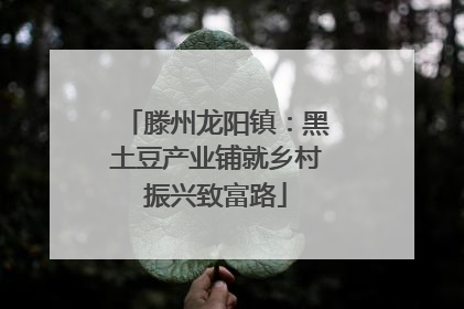 滕州龙阳镇：黑土豆产业铺就乡村振兴致富路