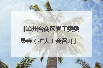漳州台商区党工委委员会（扩大）会召开