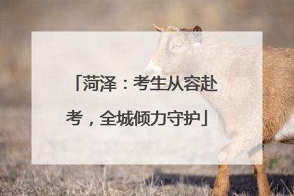 菏泽：考生从容赴考，全城倾力守护