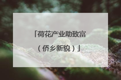 荷花产业助致富（侨乡新貌）