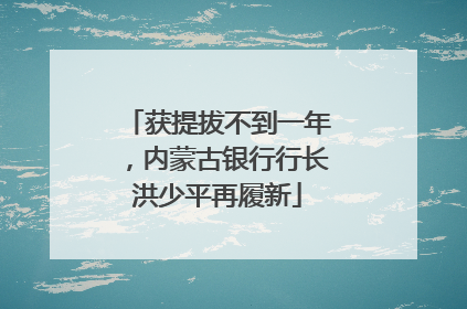 获提拔不到一年，内蒙古银行行长洪少平再履新