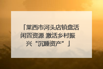 莱西市河头店镇盘活闲置资源 激活乡村振兴“沉睡资产”