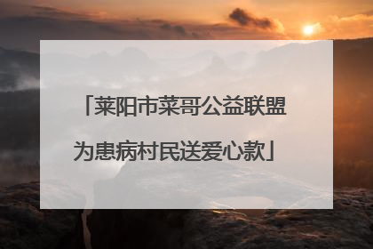 莱阳市菜哥公益联盟为患病村民送爱心款