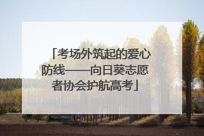 考场外筑起的爱心防线——向日葵志愿者协会护航高考