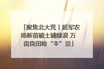聚焦北大荒丨延军农场新苗破土铺绿浪 万亩良田绘“丰”景