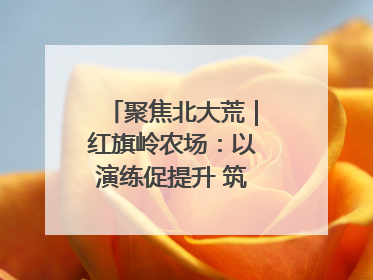聚焦北大荒｜红旗岭农场：以演练促提升 筑牢平安基石