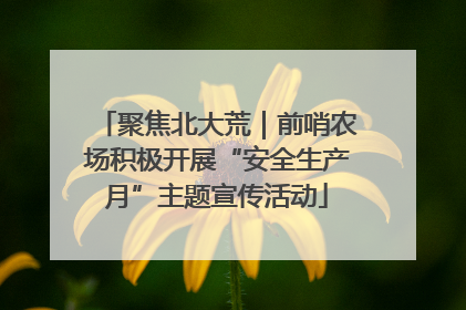 聚焦北大荒｜前哨农场积极开展“安全生产月”主题宣传活动