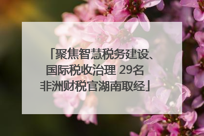 聚焦智慧税务建设、国际税收治理 29名非洲财税官湖南取经