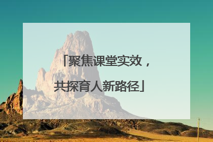 聚焦课堂实效，共探育人新路径