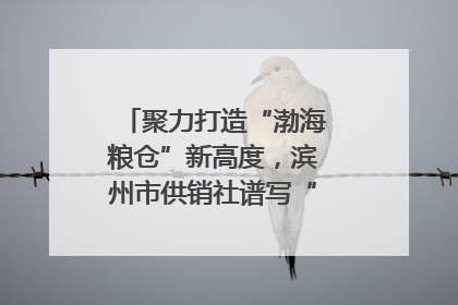 聚力打造“渤海粮仓”新高度，滨州市供销社谱写“三夏”丰收乐章