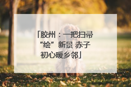 胶州：一把扫帚“绘”新景 赤子初心暖乡邻