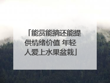 能赏能摘还能提供情绪价值 年轻人爱上水果盆栽