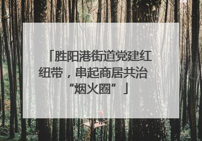胜阳港街道党建红纽带，串起商居共治 “烟火圈”