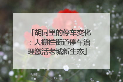 胡同里的停车变化：大栅栏街道停车治理激活老城新生态