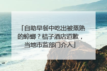 自助早餐中吃出被蒸熟的蟑螂？桔子酒店道歉，当地市监部门介入