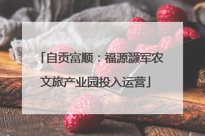 自贡富顺：福源灏军农文旅产业园投入运营