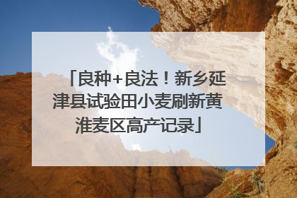 良种+良法！新乡延津县试验田小麦刷新黄淮麦区高产记录
