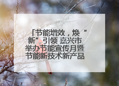 节能增效，焕“新”引领 嘉兴市举办节能宣传月暨节能新技术新产品新装备推广活动