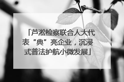 芦淞检察联合人大代表“典”亮企业，沉浸式普法护航小微发展