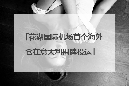 花湖国际机场首个海外仓在意大利揭牌投运