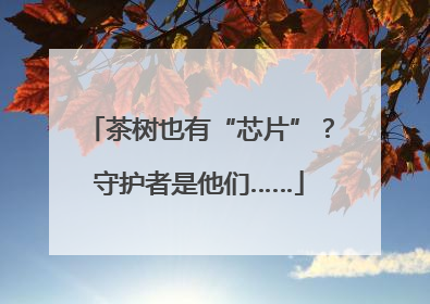 茶树也有“芯片”？守护者是他们……