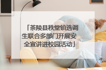 茶陵县秩堂镇选调生联合多部门开展安全宣讲进校园活动