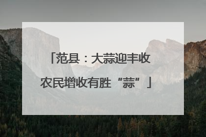 范县：大蒜迎丰收 农民增收有胜“蒜”