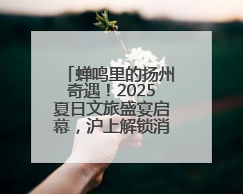 蝉鸣里的扬州奇遇！2025夏日文旅盛宴启幕，沪上解锁消费新狂欢