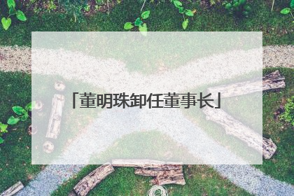 董明珠卸任董事长