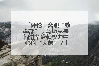 评论丨离职“效率部”，马斯克是闯进华盛顿权力中心的“大象”？